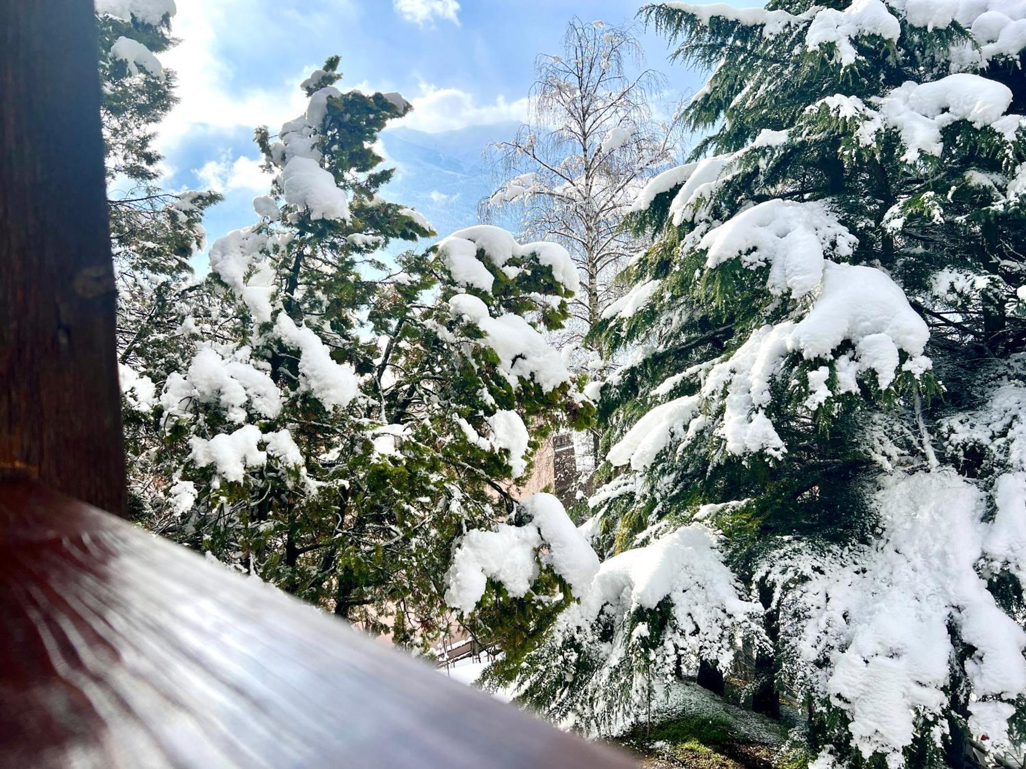 Chalet Bormio Terme Экстерьер фото